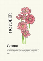 Load image into Gallery viewer, Cosmo

