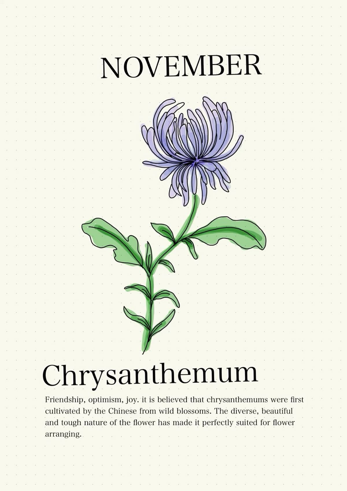 Chrysanthemum