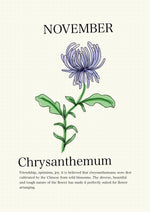 Load image into Gallery viewer, Chrysanthemum
