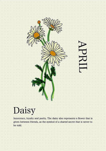 Daisy