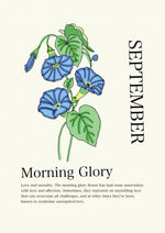Load image into Gallery viewer, Morning Glory &amp; Aster
