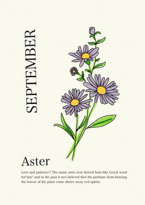 Morning Glory & Aster